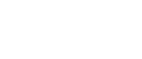 Jaipur rugs